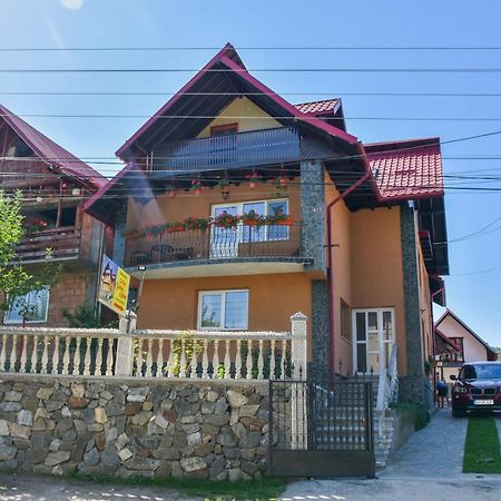 Casa Diana-Maria Apartment Curtea de Argeş Екстериор снимка