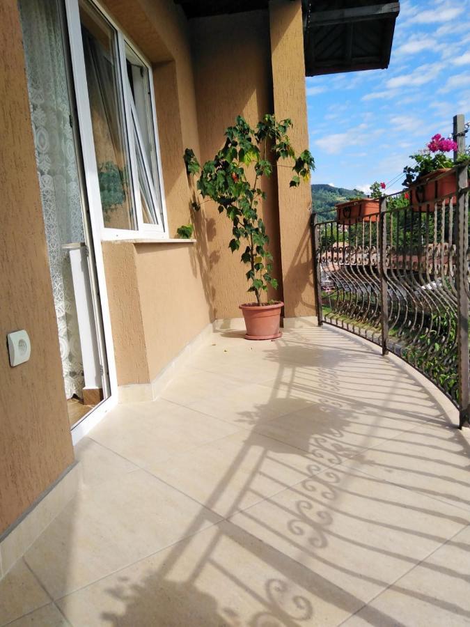 Casa Diana-Maria Apartment Curtea de Argeş Екстериор снимка