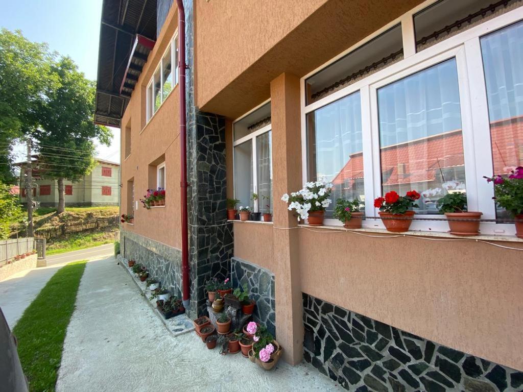 Casa Diana-Maria Apartment Curtea de Argeş Екстериор снимка