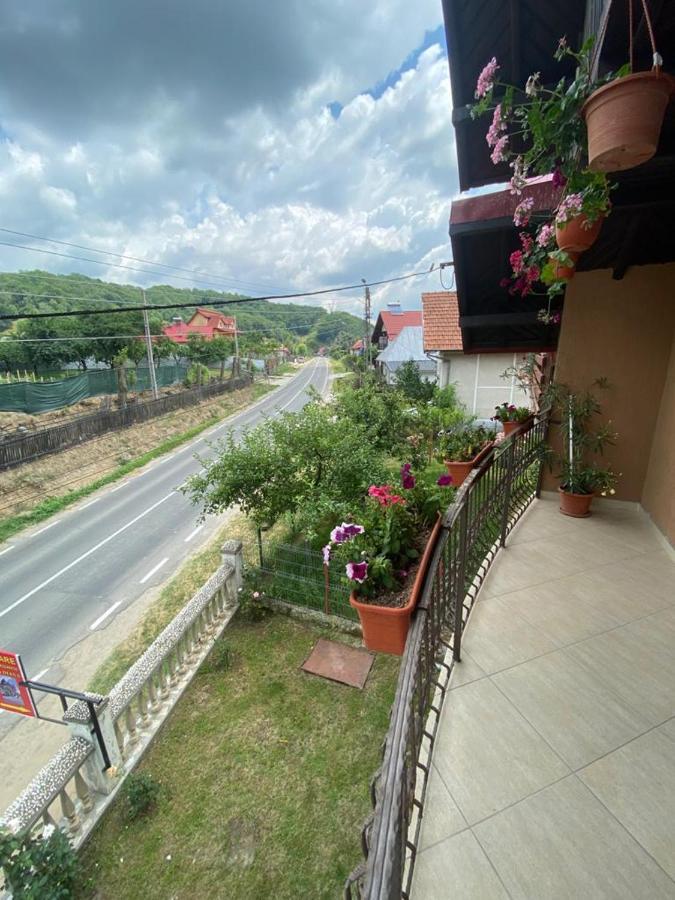 Casa Diana-Maria Apartment Curtea de Argeş Екстериор снимка