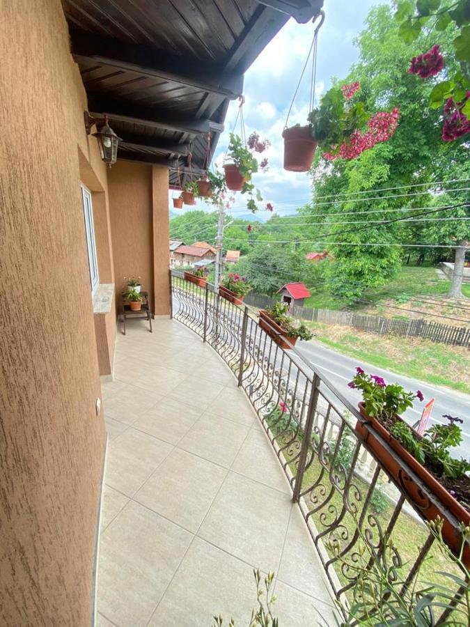 Casa Diana-Maria Apartment Curtea de Argeş Екстериор снимка