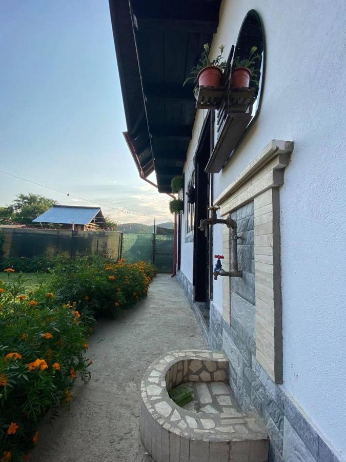 Casa Diana-Maria Apartment Curtea de Argeş Екстериор снимка