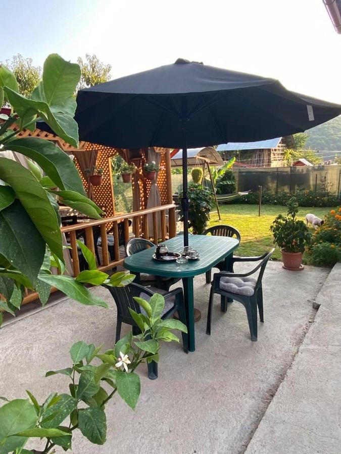 Casa Diana-Maria Apartment Curtea de Argeş Екстериор снимка