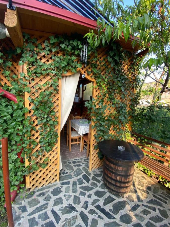 Casa Diana-Maria Apartment Curtea de Argeş Екстериор снимка