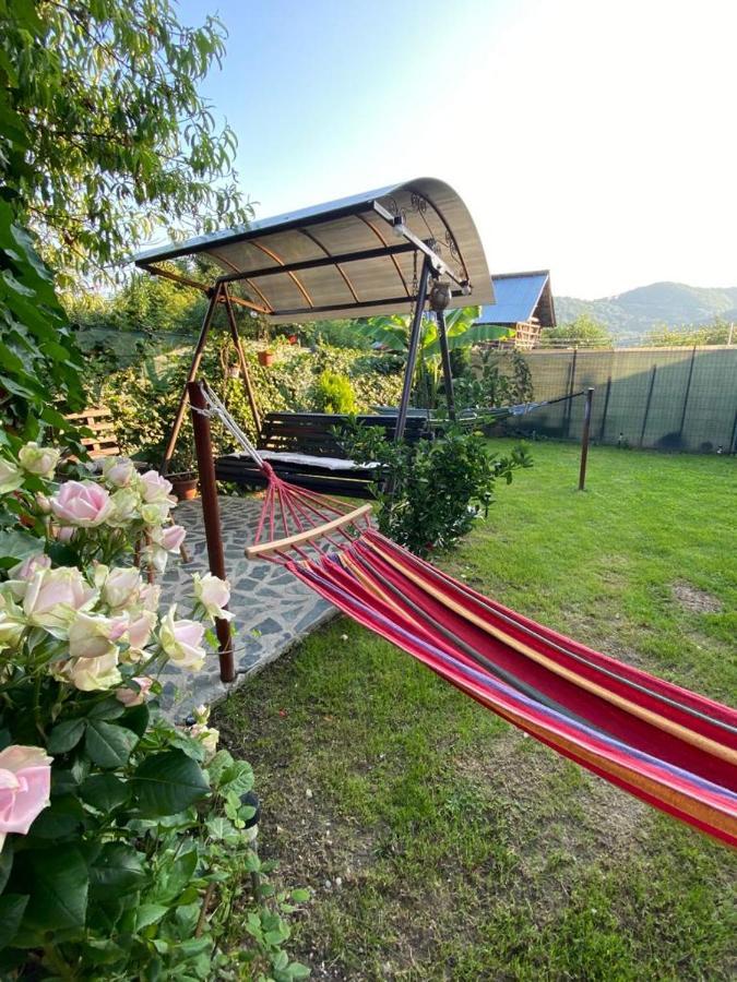 Casa Diana-Maria Apartment Curtea de Argeş Екстериор снимка