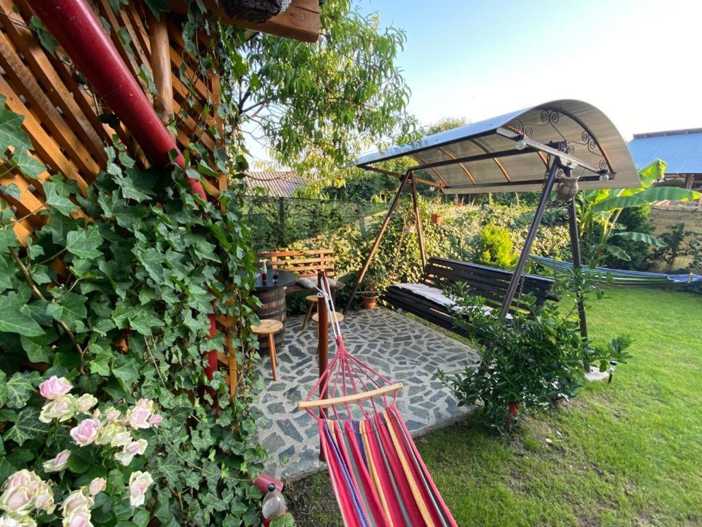 Casa Diana-Maria Apartment Curtea de Argeş Екстериор снимка