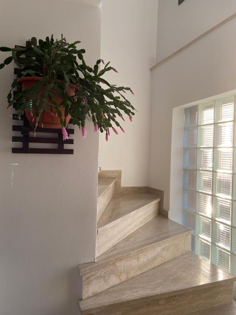 Casa Diana-Maria Apartment Curtea de Argeş Екстериор снимка
