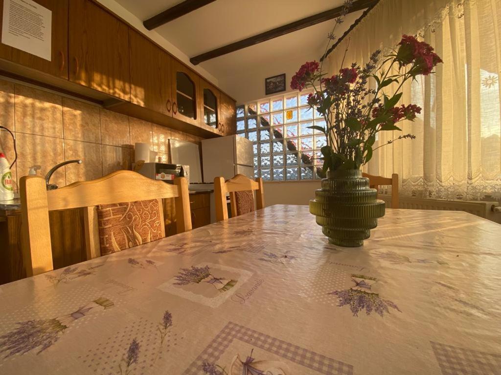 Casa Diana-Maria Apartment Curtea de Argeş Екстериор снимка