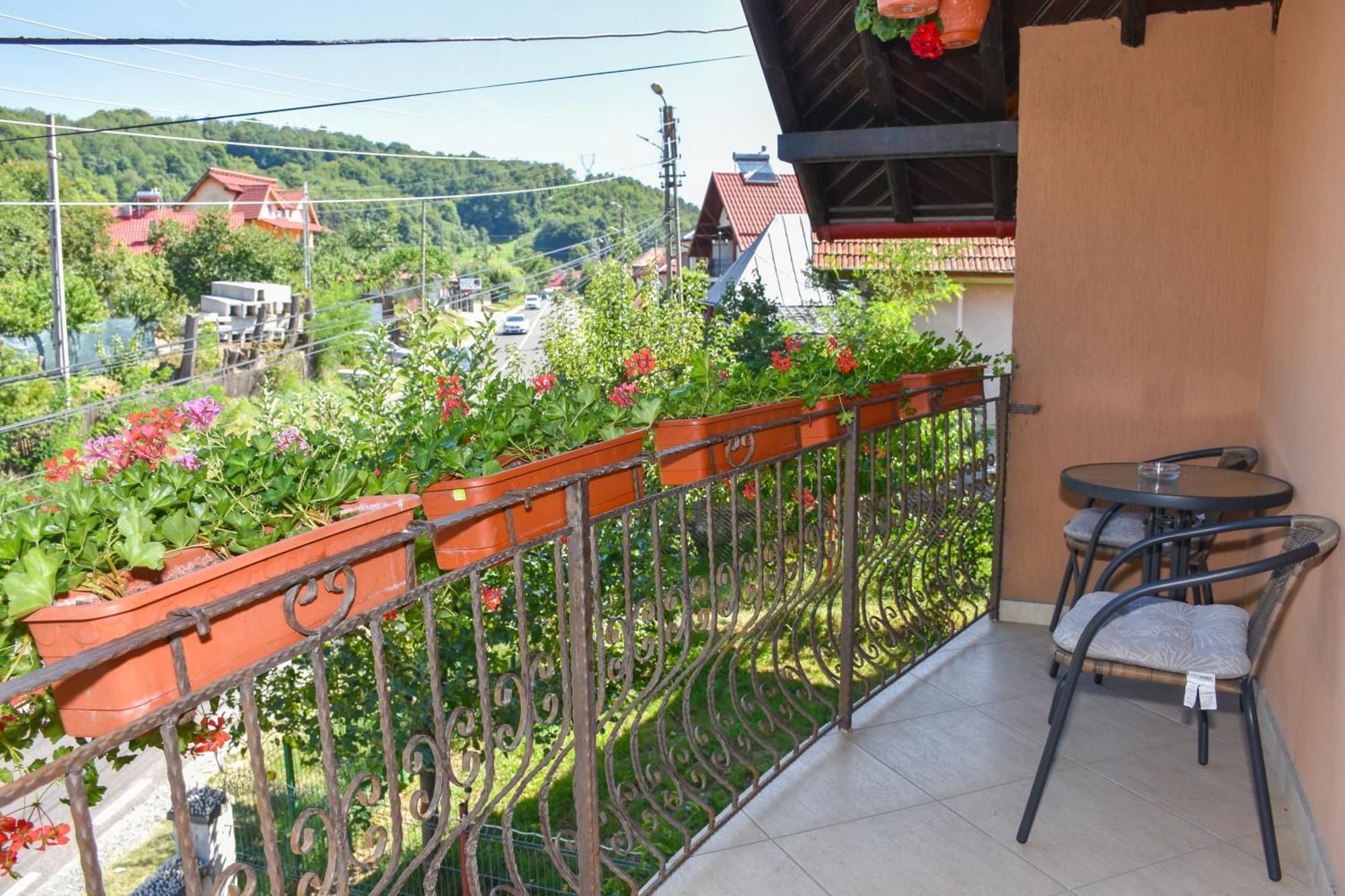 Casa Diana-Maria Apartment Curtea de Argeş Екстериор снимка