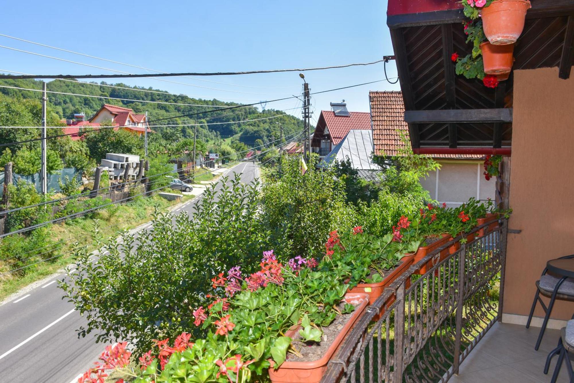 Casa Diana-Maria Apartment Curtea de Argeş Екстериор снимка